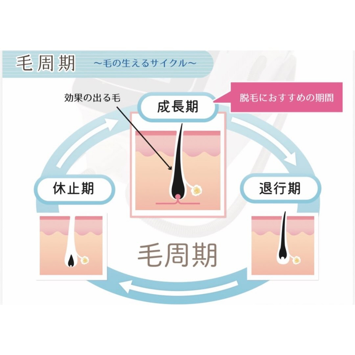 画像608