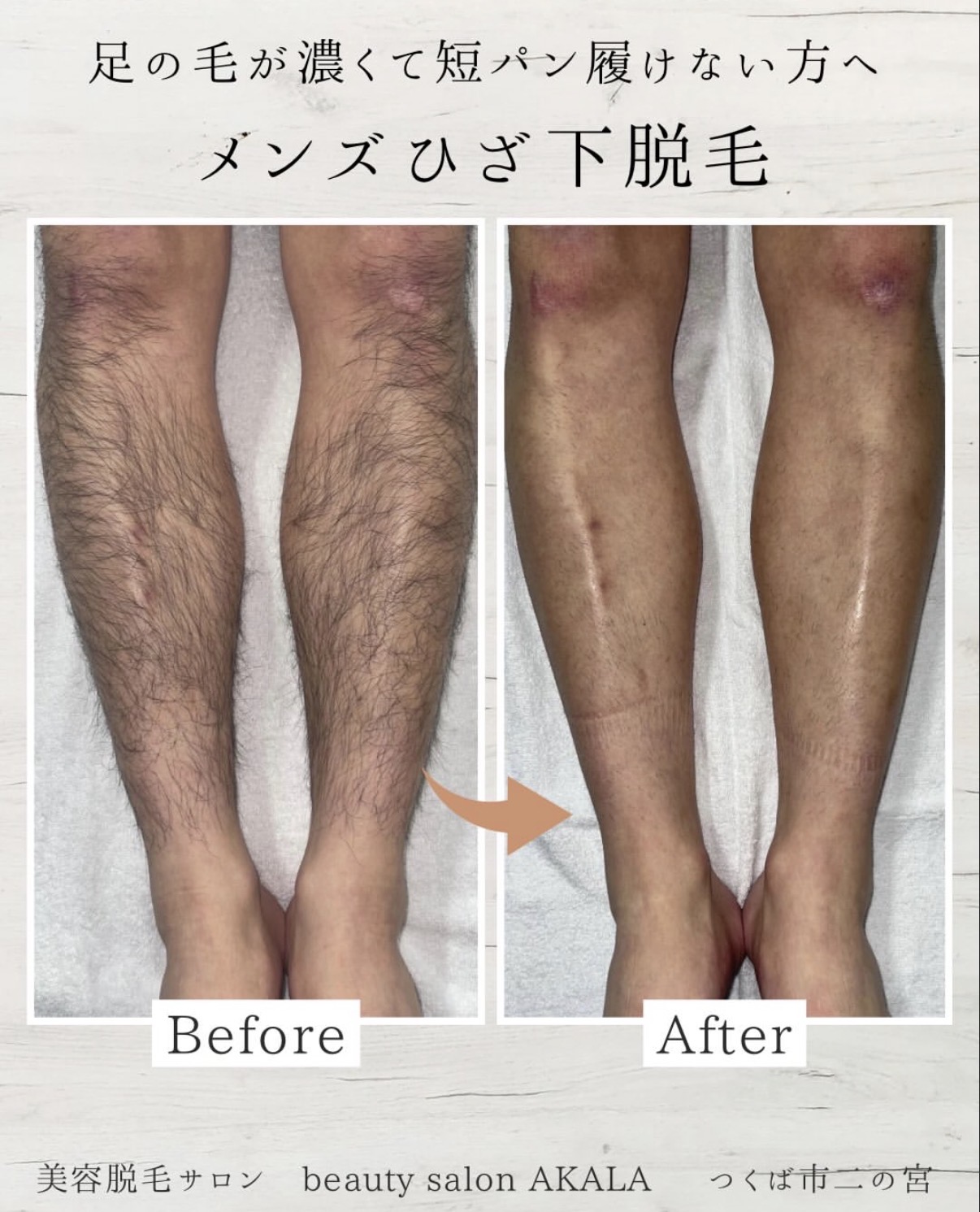 実績とお客様の声